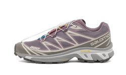 Salomon XT-6 Plum Kitten